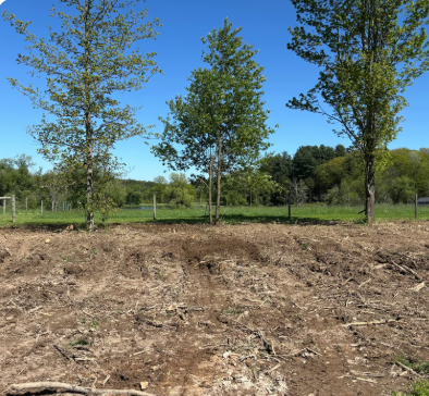 Cleared lot ready for development